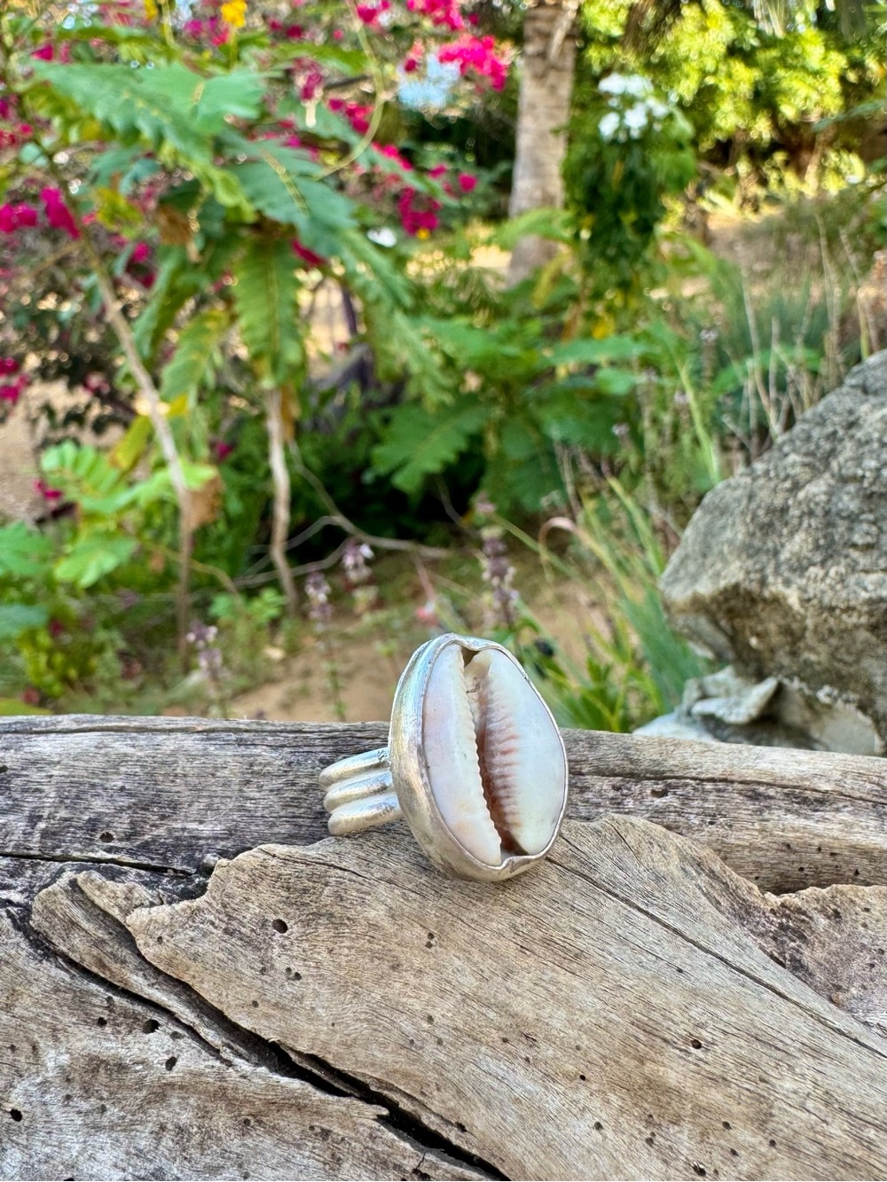 Cowrie Shell Statement Ring in fine silver & sterling silver